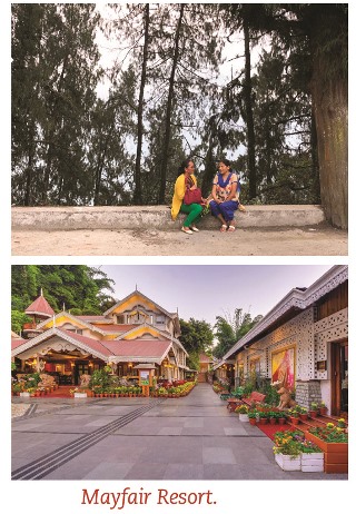 Travel (Sikkim 02_19)Mayfair Resort_320.jpg